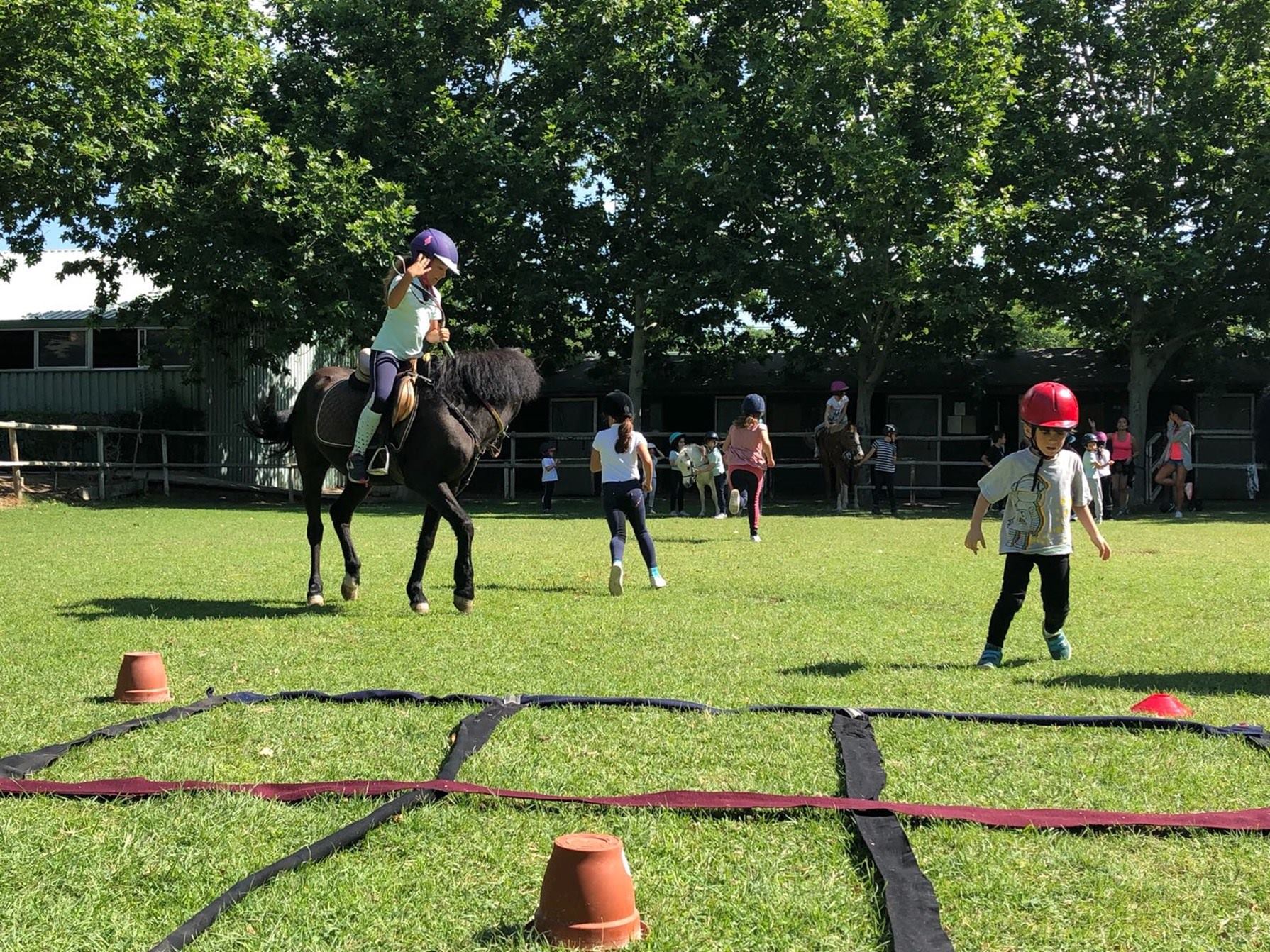 Clases de equitación para adultos y niños