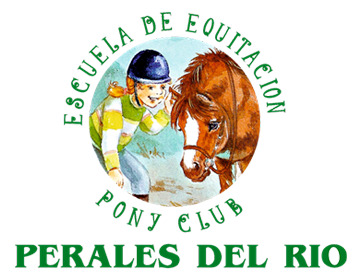 (c) Ponyclubperalesdelrio.com